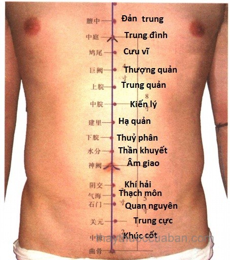 cac-buoc-xoa-bop-bam-huyet-massage-tri-dau-bao-tu-3