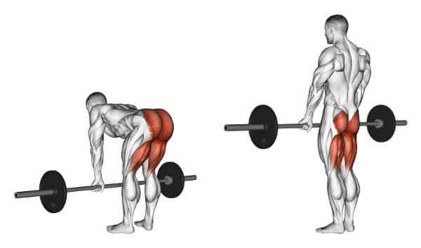 deadlift-la-gi-cach-tap-nhu-the-nao-la-dung-ky-thuat-1