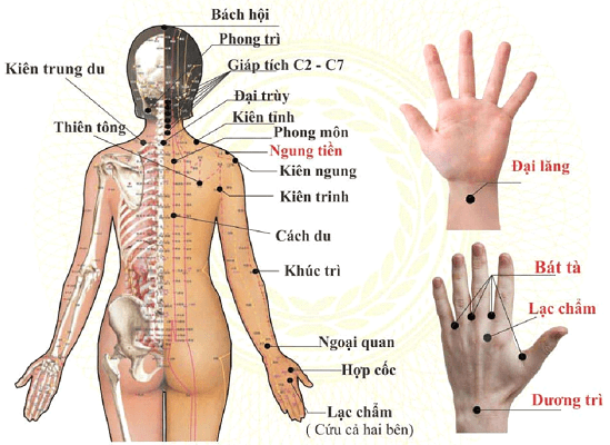 phuong-phap-cham-soc-suc-khoe-bang-massage-bam-huyet-2