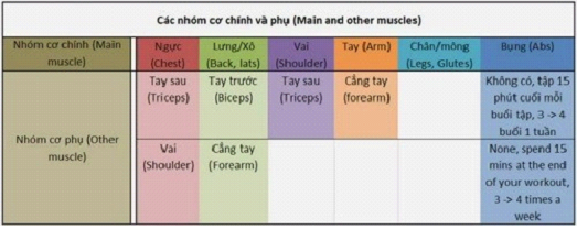 Làm Thế Nào Để Có Một Lịch Tập Thể Hình Khoa học ?