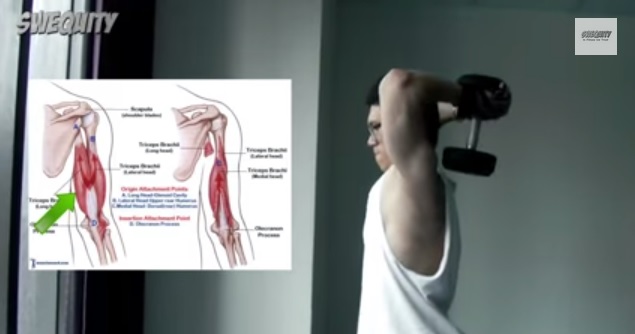 Tập tạ tay tại nhà Tập tạ tay tại nhà