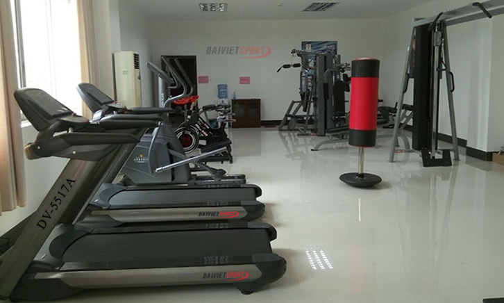 Các loại máy tập thể dục giá rẻ Đại Việt Sport