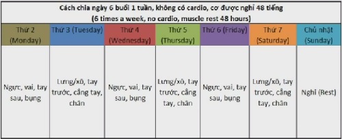 Kế hoạch tập thể hình để giảm cân trong 1 tháng