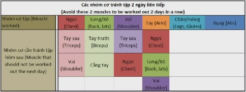 Lịch tập thể hình tại nhà hiệu quả Lịch tập thể hình tại nhà hiệu quả