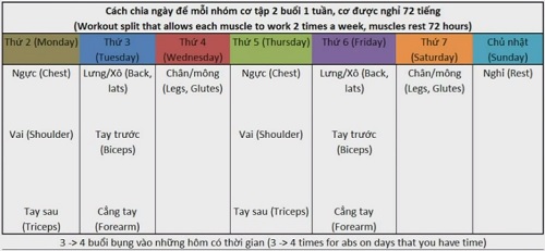 Lịch tập thể hình tại nhà hiệu quả Lịch tập thể hình tại nhà hiệu quả