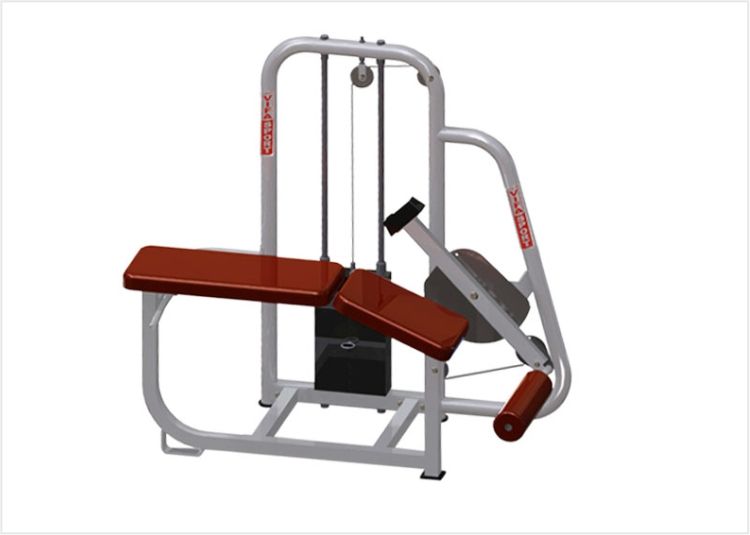 những dụng cụ thể hình cho phòng tập