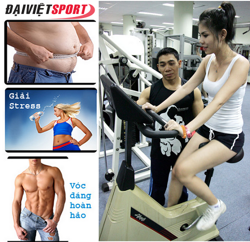 Lợi ích của việc tập gym